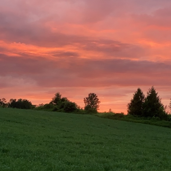 Meet your Posher, Addi - Picture 1 of 1